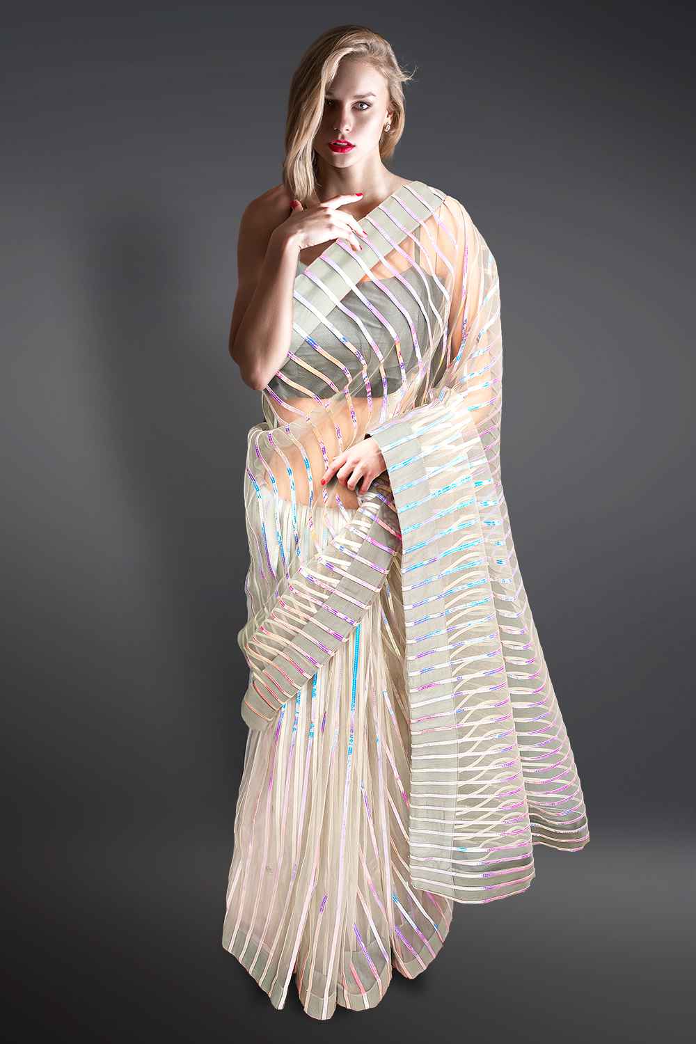 Grey Net Saree